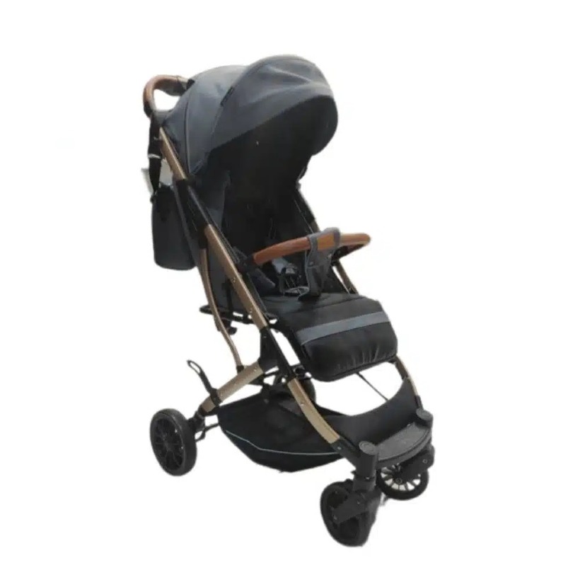 ‫کالسکه مسافرتی ایون فلو مدل‬ ‫S2‬