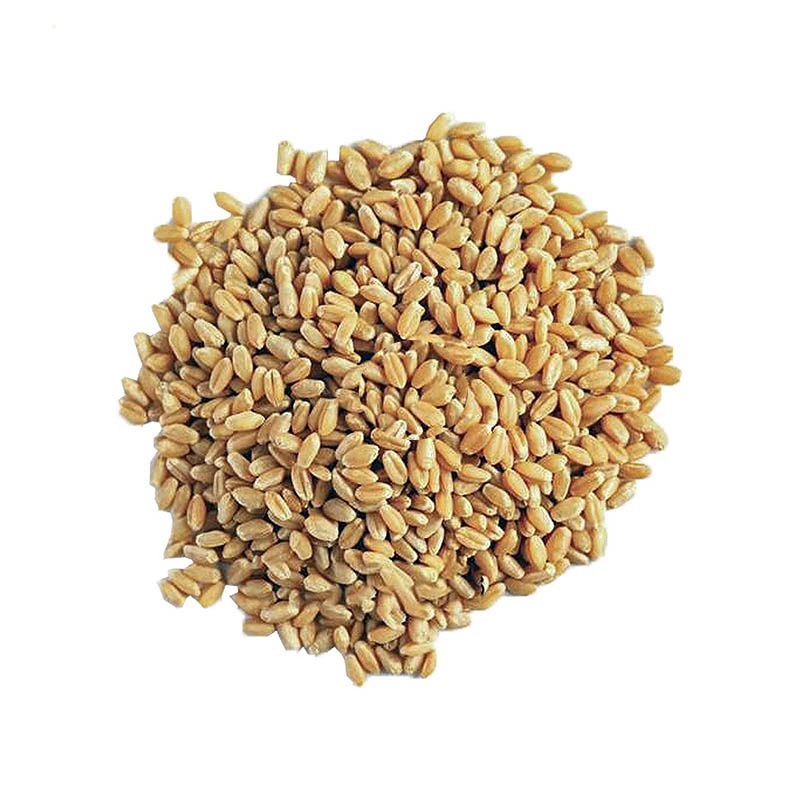 گندم پوست کنده اطلس وزن 25 کیلوگرمی (1 گونی)