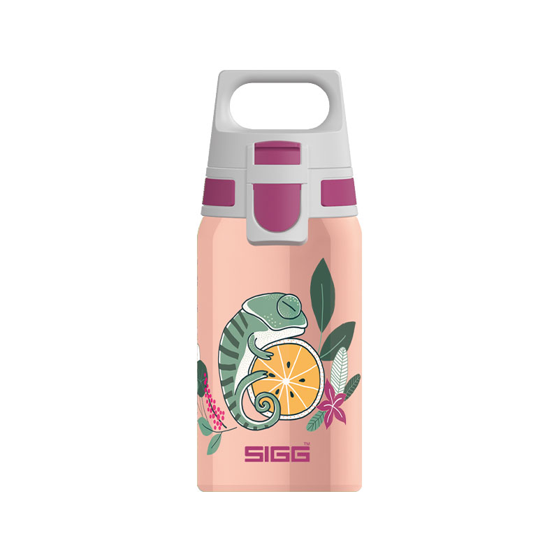 قمقمه سیگ مدل فلورا - Sigg Shield One Flora 0.5 L